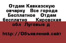 Отдам Кавказскую овчарку - Все города Бесплатное » Отдам бесплатно   . Кировская обл.,Луговые д.